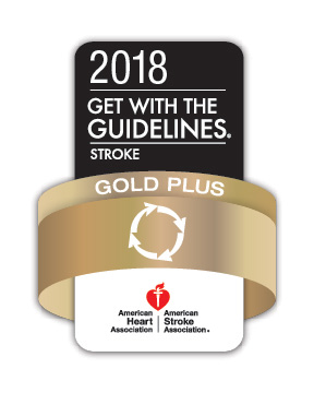 AHA Get with the Guidelines Stroke Gold Plus Award logo